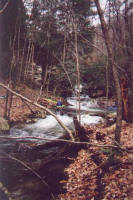 Looking upstream on California Creek in Tennessee