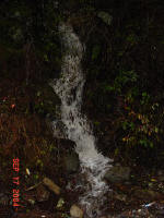 Small feeder creek - Nolichucky Gorge, TN