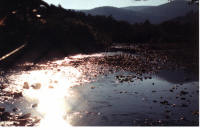 Creek at Graveyard Fields by Phillip Turner
