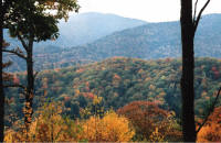 Fall Color on the Way to Cherokee by Phillip Turner