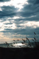 Topsail Island by Phillip Turner