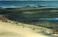 Jockey's Ridge Waterway by Phillip Turner